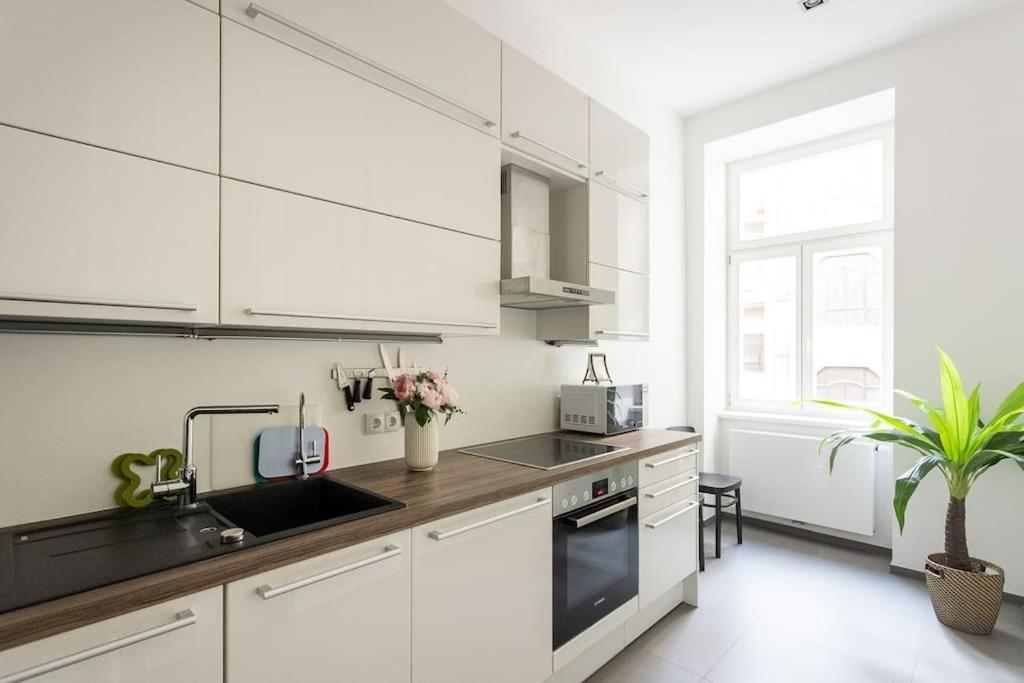 Franz 24 - Typical Viennese Apartment In The Heart Of Wien Exteriör bild